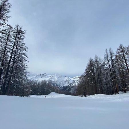 Les Granges D'Arvieux - Queyras - Appart 3Ch./6P. Exteriér fotografie